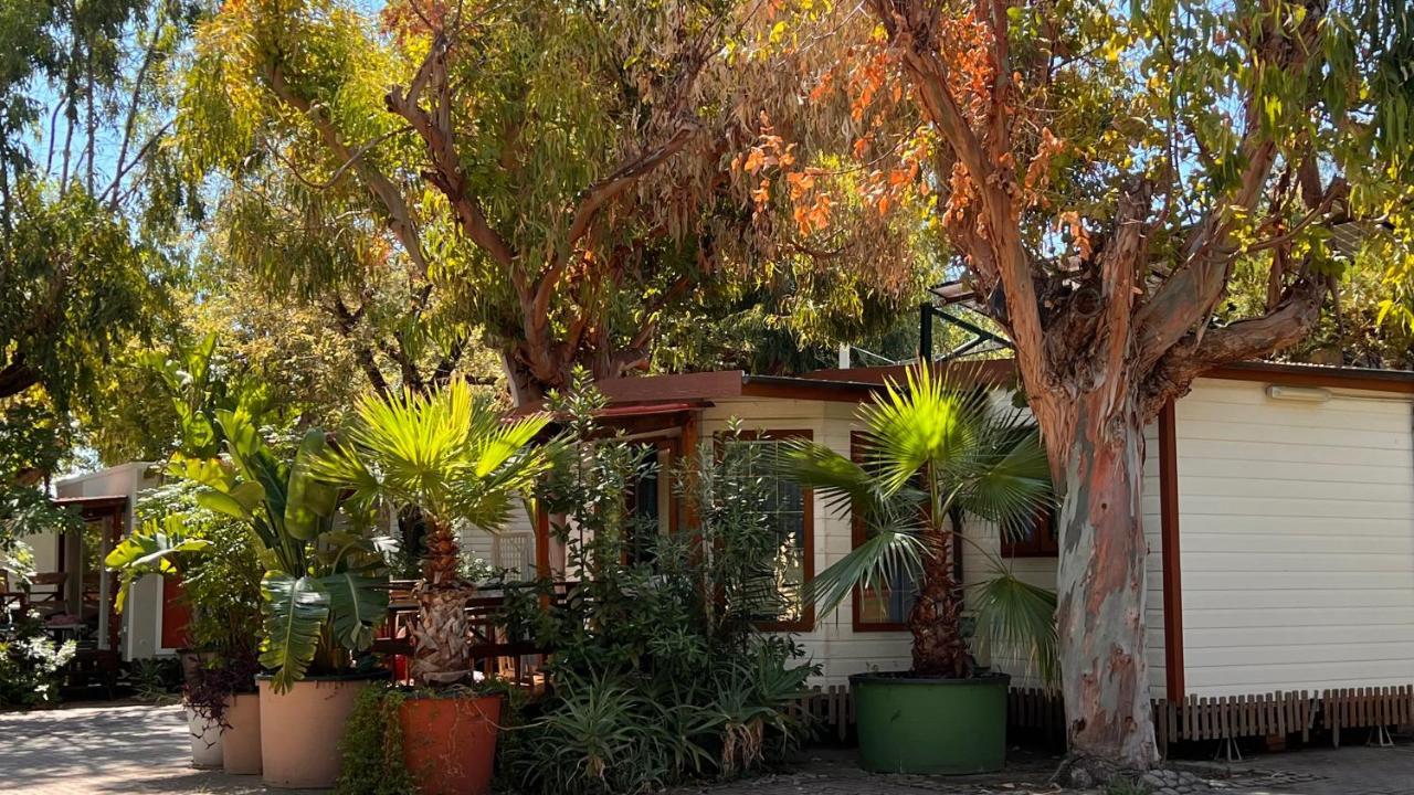 Villaggio Dei Fiori Sanremo Bagian luar foto
